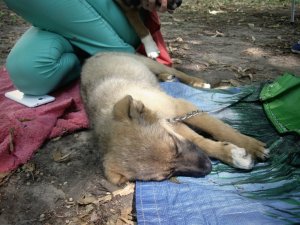 Фото: Народна журналістика. Допоможемо разом