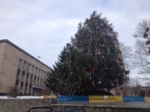 Фото: Ялинки Полтавщини: які новорічні красуні встановили в районах