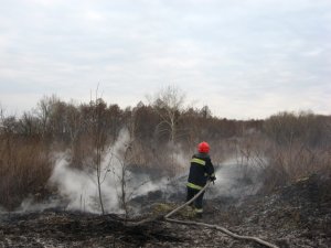 Фото: На Полтавщині вогнем було знищено близько 10 га сухої рослинності