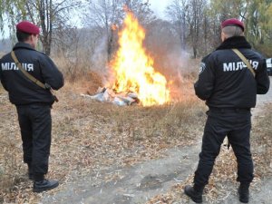 Фото: Полтавські міліціонери спалили наркотиків на 1,2 мільйона гривень