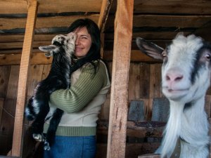 Фото: «Урятувати всіх коней усього світу» – ідея притулку для тварин «Пегас» (ФОТО, ВІДЕО)