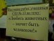 Фото: Безпритульних тварин в Полтаві є кому захищати