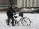 Фото: Через перший сніг у Полтаві у воді тонуть дерева (фото)