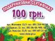 Фото: У магазині «Сімба» до новорічних свят можна придбати подарункові сертифікати (фото)