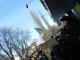 Фото: Полтавою пройшла величезна колона мітингувальників: поставили вимоги директору "Лтави" (фоторепортаж)