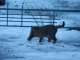 Фото: У Полтаві морозний тиждень завершився січневою відлигою (фоторепортаж)